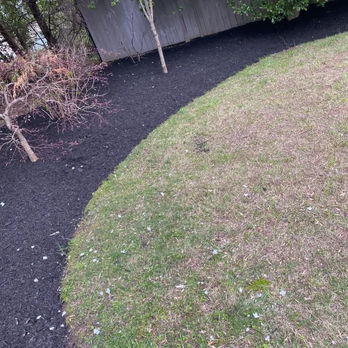 diaz-landscaping-services (16)
